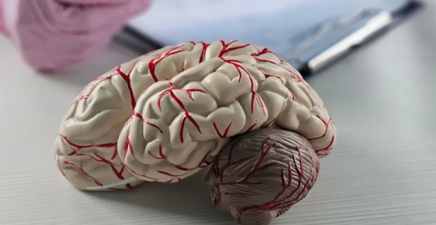 Brain Injury Lawyer: Seeking Compensation for Long-Term Recovery