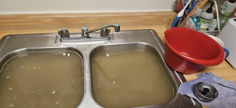Grease From One Family Weekend Can Stop A Kitchen Drain